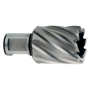 Фреза по металлу 25 х 30 мм (Weldon 19) HSS METABO 626513000